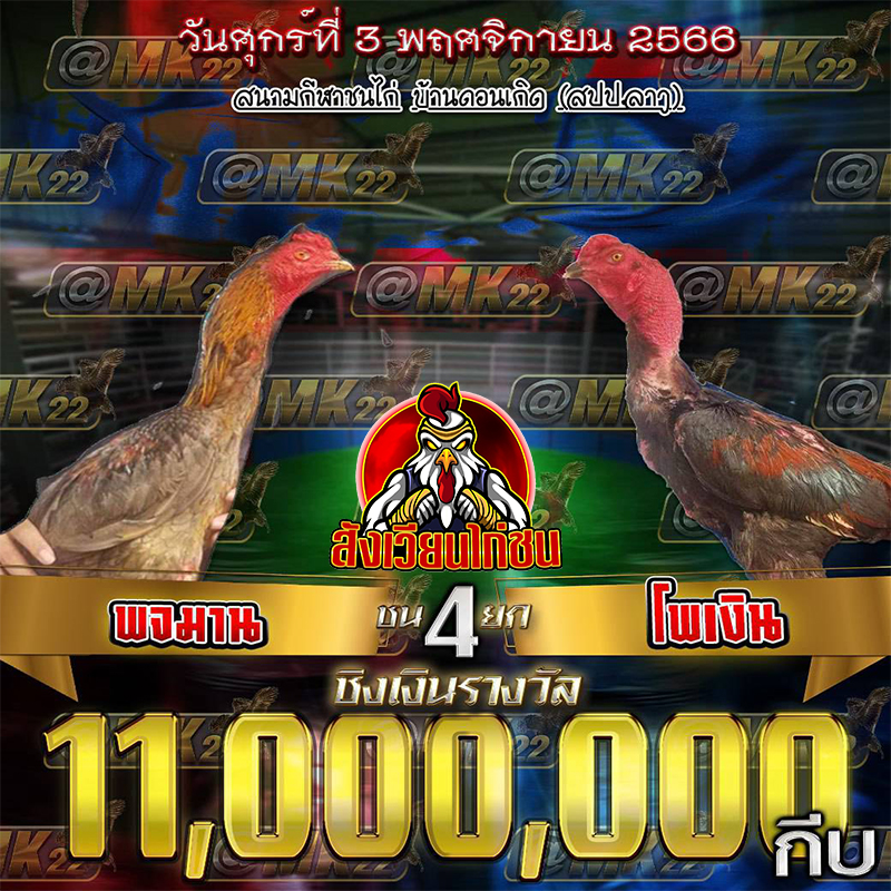 ไก่ชน