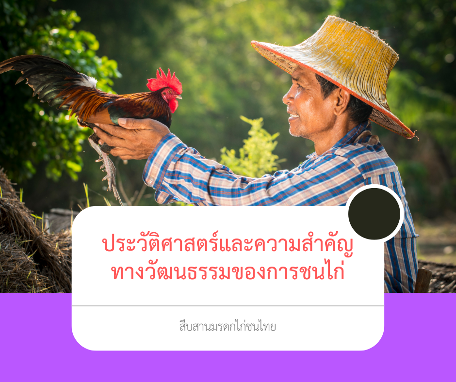 ไก่ชนไทย