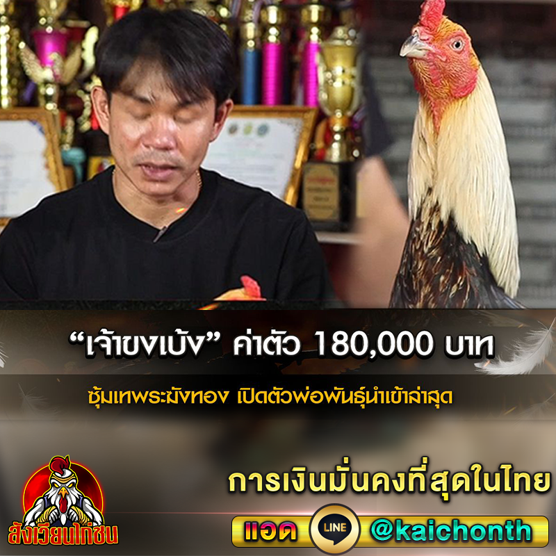 เว็บไก่ชน